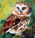 Northern Saw-Whet Owl Diamond Painting